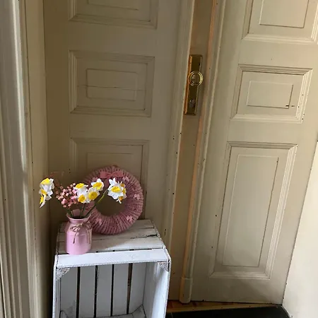 Appartement Stylische Altbauwohnung Striesen Ruhig Und Zentral