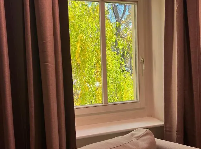 Appartement Stylische Altbauwohnung Dresden Striesen Ruhig Und Zentral Dresden