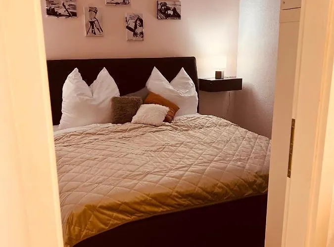 Stylische Altbauwohnung Dresden Striesen Ruhig Und Zentral Appartement